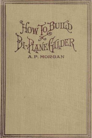 [Gutenberg 63077] • How To Build A 20-Foot Bi-Plane Glider